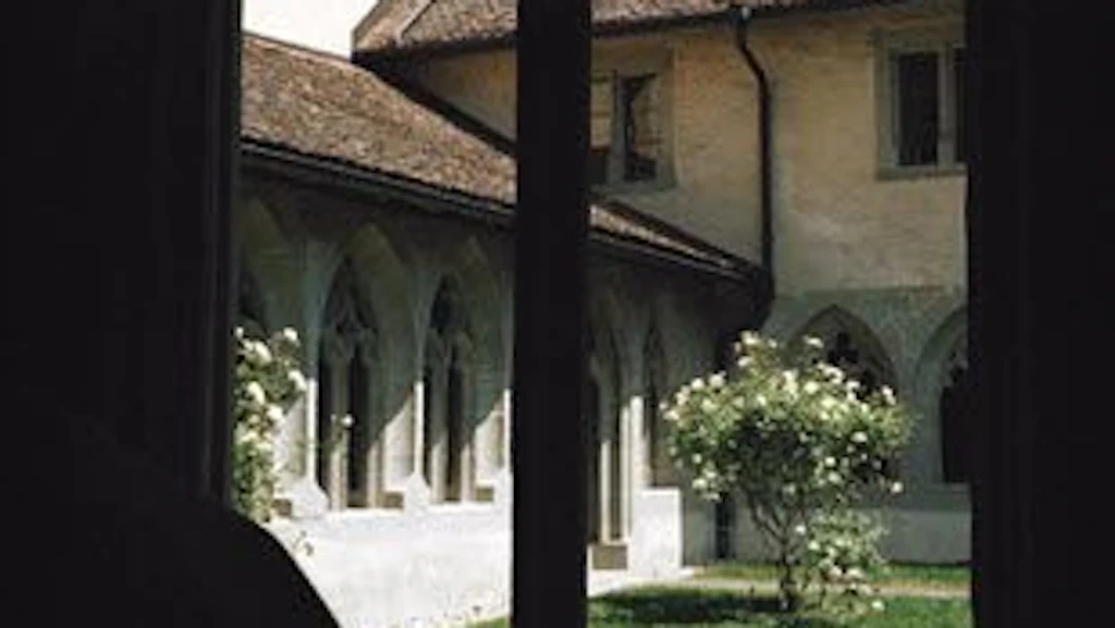 Vue d’une fenêtre du cloître vers l’autre côté du cloître. Le sol est couvert d’une pelouse. Dans l’angle, il y a un rosier avec des fleurs blanches. Il fait jour et le ciel est bleu. La cour intérieure est ensoleillée.
