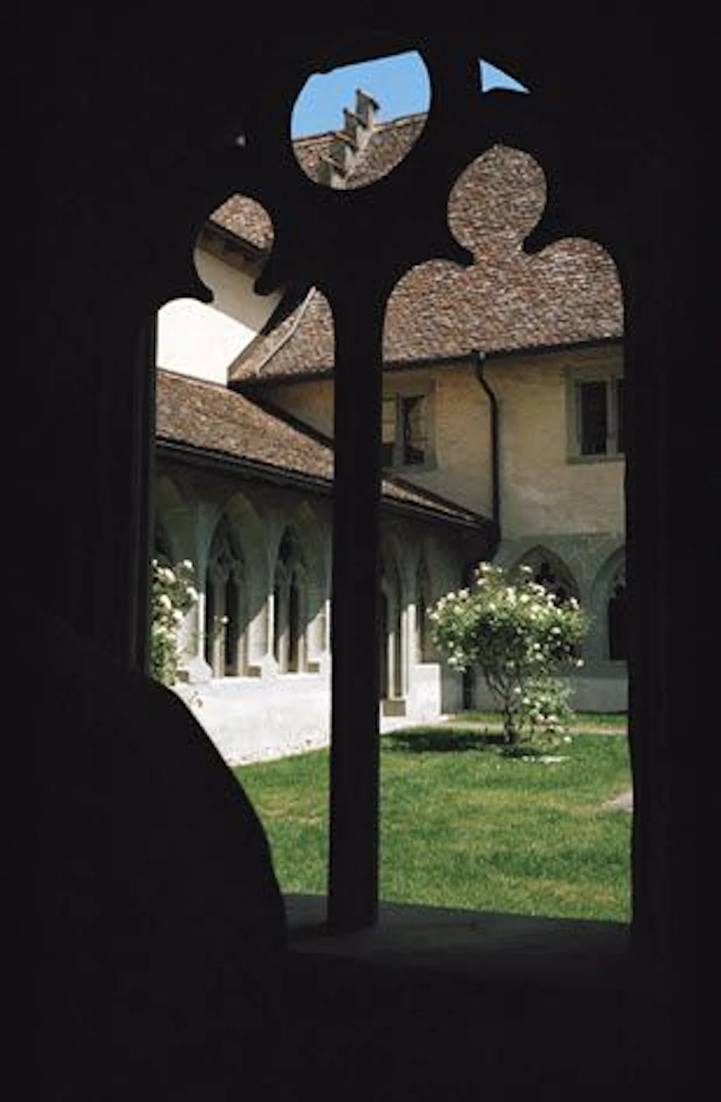 View from a window of the covered walkway to the opposite side of the covered walkway. The ground is covered by a lawn. There is a rose bush in the corner with white flowers. It’s daytime and the sky is blue. The inner courtyard is sunny.